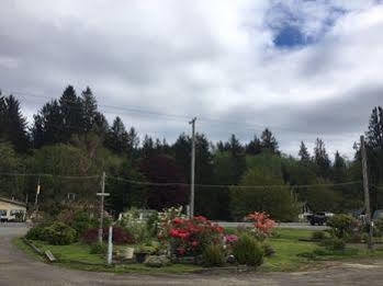 Town Motel *